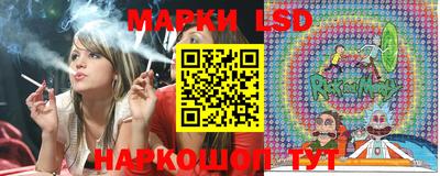 mdpv Краснознаменск