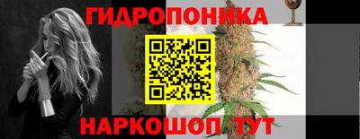 mdpv Краснознаменск
