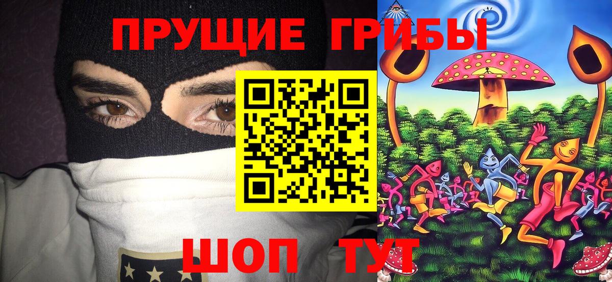 Миасс  Псилоцибиновые грибы мухоморы  Вход с VPN 
