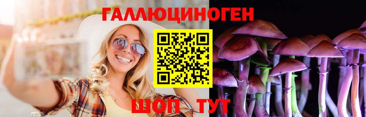 Псилоцибиновые грибы Psilocybe Миасс